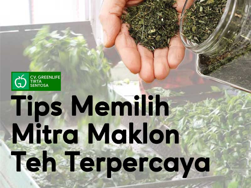 Tips-Memilih-Mitra-Maklon-Teh-Tempat-produksi-Teh