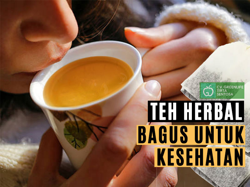 pembuatan-teh-celup-herbal-untuk-kesehatan