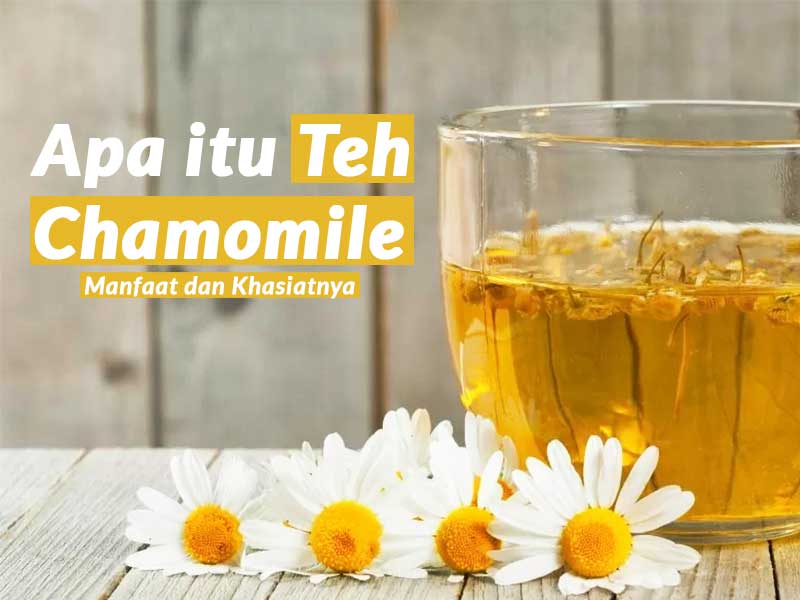 Manfaat dan Khasiat teh chamomile