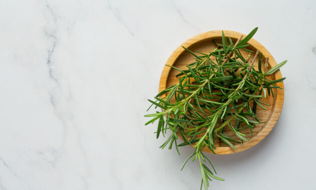 Manfaat rosemary untuk teh herbal