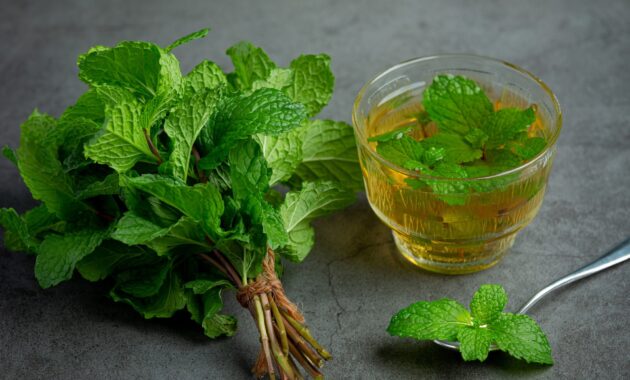 Teh herbal Daun mint