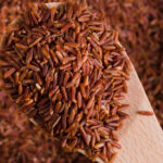 fermentasi beras merah
