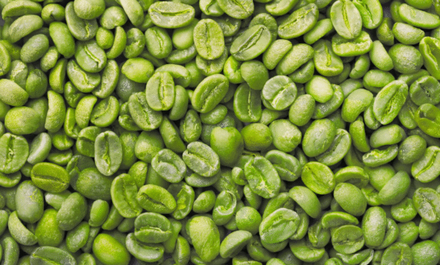 Green Coffee Superfood Alami untuk Teh Herbal Kekinian